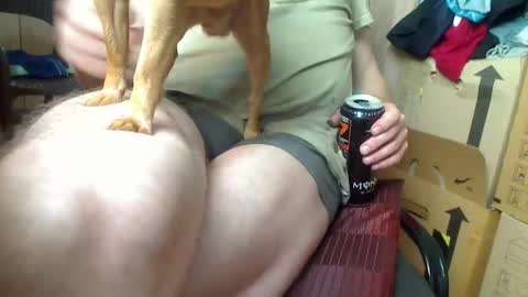 peta000007 online show from October 14, 12:50 pm