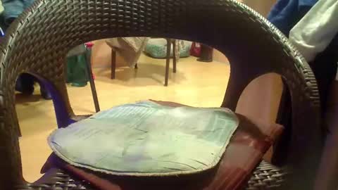 peta000007 online show from December 4, 9:12 pm