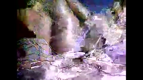 peterson1978 online show from November 8, 8:07 pm