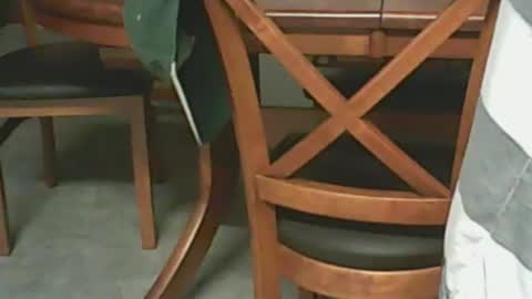 Snapshot of petesplace chatting on February 23, 11:00 am pete online show from February 23, 11:00 am