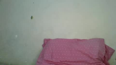 Snapshot of petite_shan chatting on June 21, 5:32 am petite_shan online show from June 21, 5:32 am