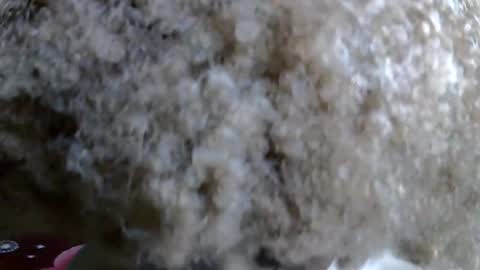 Caramel online show from November 5, 11:05 pm