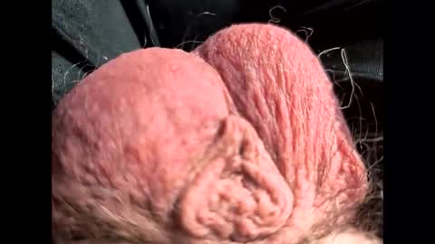 petrol63102 online show from February 22, 1:09 pm