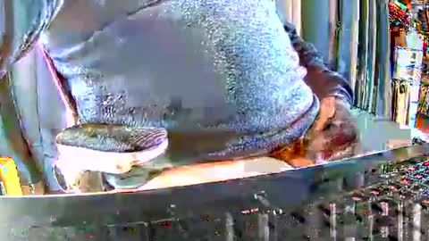 Gabu online show from December 15, 9:46 am