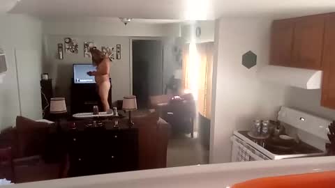 Snapshot of phinfan35276 chatting on February 23, 8:44 pm Phinfan online show from February 23, 8:44 pm