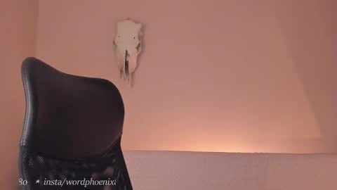 Snapshot of phoenixx_x chatting on December 28, 10:02 pm phoenixx_x online show from December 28, 10:02 pm