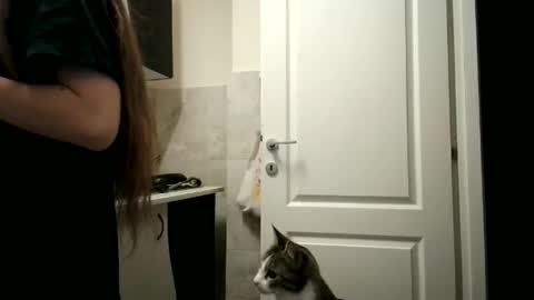 Moonie online show from December 15, 8:35 pm