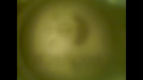 Snapshot of pierrecard1 chatting on October 13, 5:40 am pierrecard1 online show from October 13, 5:40 am