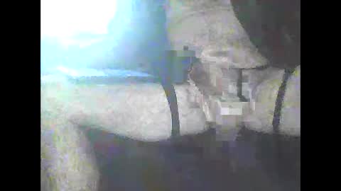 Snapshot of pigbear4trans chatting on January 3, 4:48 pm pigbear4trans online show from January 3, 4:48 pm