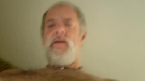 Snapshot of pigbear4trans chatting on January 29, 7:04 am pigbear4trans online show from January 29, 7:04 am