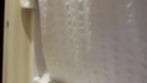 Snapshot of pigbear4trans chatting on September 30, 6:51 am pigbear4trans online show from September 30, 6:51 am