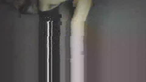 Snapshot of piggyes74 chatting on September 21, 10:44 pm piggyes 74 online show from September 21, 10:44 pm