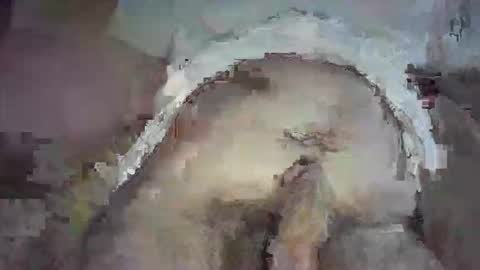 Snapshot of piggyplaypen chatting on June 3, 8:36 pm piggyplaypen online show from June 3, 8:36 pm