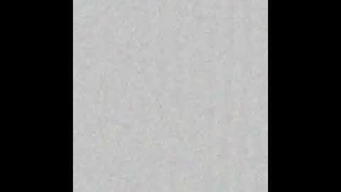 Snapshot of piledriver3469 chatting on November 1, 1:57 pm piledriver3469 online show from November 1, 1:57 pm