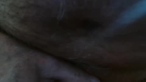 Pit online show from February 23, 2:04 pm