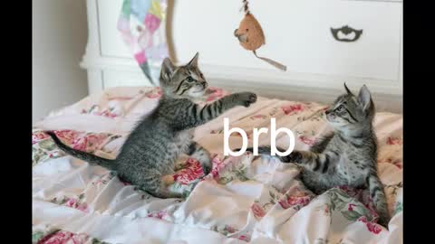 Kitty online show from October 19, 8:42 pm