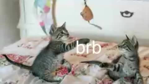 Snapshot of pink_girl0n chatting on June 25, 1:38 am Kitty online show from June 25, 1:38 am