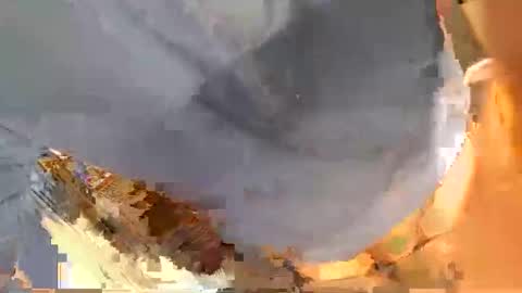 pippetta1 online show from November 21, 3:00 pm