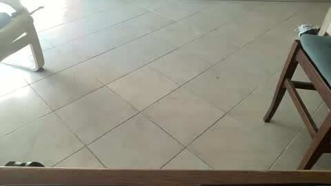 pisellone_xxl online show from September 19, 1:01 pm