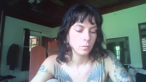 Snapshot of pixiecatfairy chatting on November 11, 6:24 am pixiecatfairy online show from November 11, 6:24 am