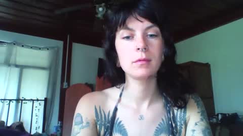 Snapshot of pixiecatfairy chatting on November 23, 3:17 am pixiecatfairy online show from November 23, 3:17 am