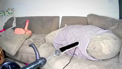 PeggedBiGuy online show from April 25, 9:23 am