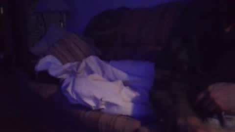 playerpleasure online show from April 4, 10:02 am