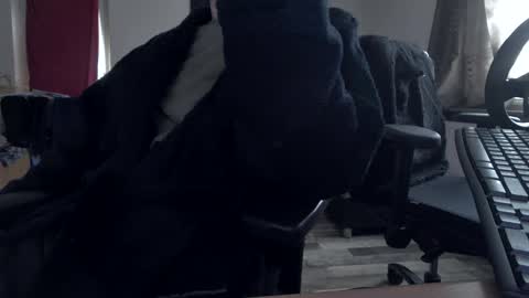 Hello ask me  . Im glad  to see you here in my room. Welcome PVT is open online show from November 30, 9:35 am