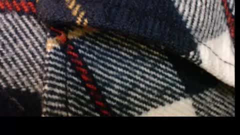 Snapshot of pllkgh45ymn chatting on September 10, 4:40 pm pllkgh45ymn online show from September 10, 4:40 pm