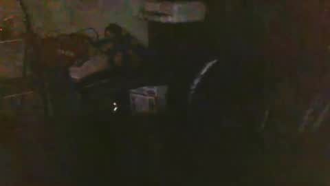 pnwbull25 online show from March 27, 9:32 am