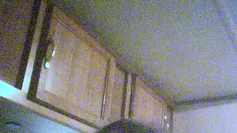 Snapshot of podzimek chatting on June 21, 4:04 am podzimek online show from June 21, 4:04 am
