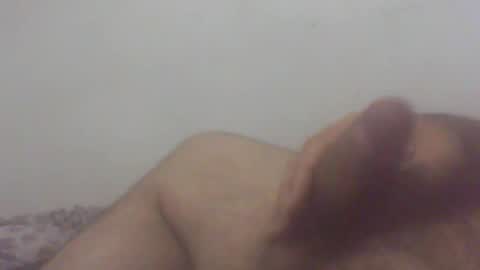 pol2023 online show from November 12, 3:40 am