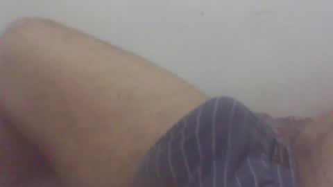 pol2023 online show from August 1, 2:44 am