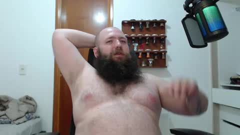 Bear online show from February 14, 5:41 am