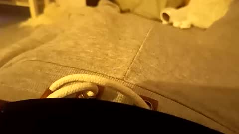 Snapshot of pollontf chatting on March 2, 1:41 am pollontf online show from March 2, 1:41 am