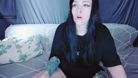 Polly online show from July 14, 12:22 pm