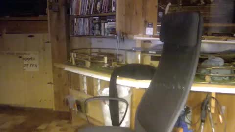 pomme1949 online show from December 16, 10:42 am