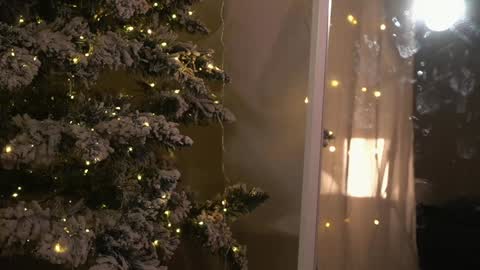    online show from December 26, 9:04 pm