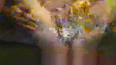 portal3444 online show from November 30, 8:35 pm