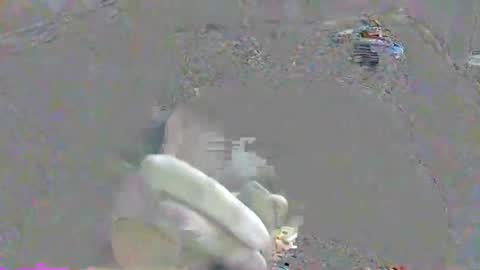 ppsmall_17 online show from October 17, 10:34 pm
