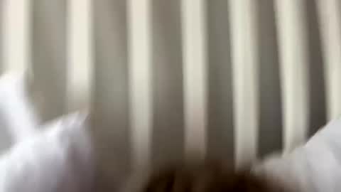 Snapshot of prettypxssyyy chatting on September 27, 8:36 pm Prettiestpussy online show from September 27, 8:36 pm