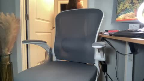 Discrete Pussy online show from July 28, 6:53 pm