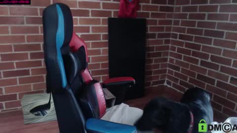 Leia online show from April 28, 6:35 pm
