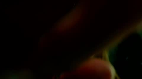 Snapshot of princess_ladylila chatting on June 1, 5:31 am Princess Lady Lila online show from June 1, 5:31 am