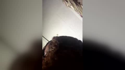 princessaxs online show from April 2, 8:28 pm