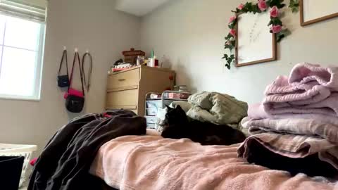 Snapshot of princessbaby525 chatting on May 9, 3:39 pm Sable online show from May 9, 3:39 pm