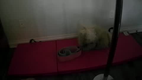 princesskimami online show from October 25, 12:40 am