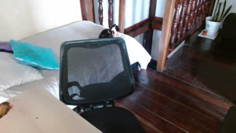 Snapshot of prismm_ chatting on September 14, 1:21 pm prismm_ online show from September 14, 1:21 pm