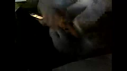 Snapshot of problm666 chatting on December 2, 6:03 pm Clothingoptional online show from December 2, 6:03 pm