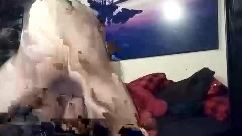 Snapshot of properttw chatting on October 13, 4:29 pm properttw online show from October 13, 4:29 pm